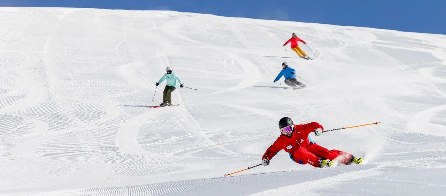 The Snowy Mountains